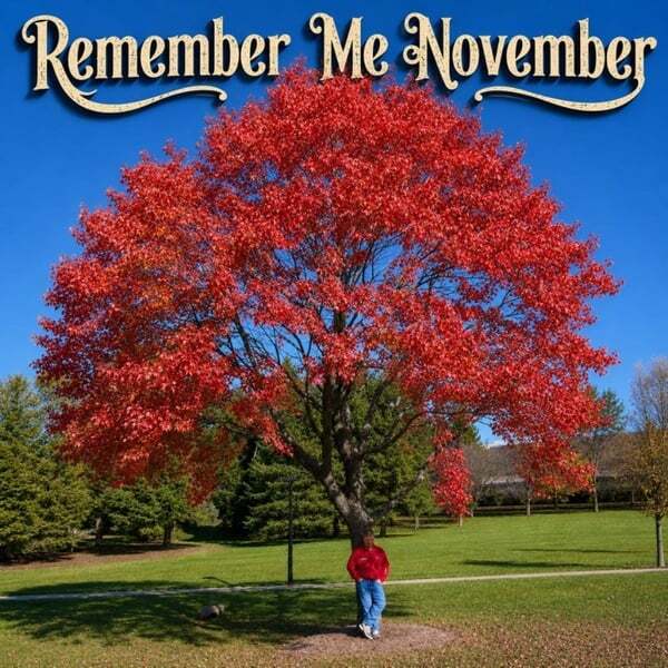Cover art for Remember Me November